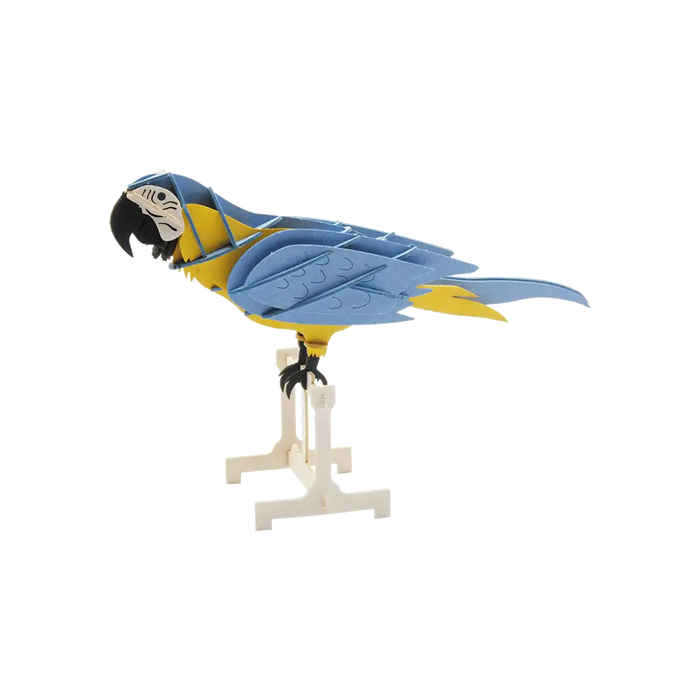 3D Papiermodell / Papagei