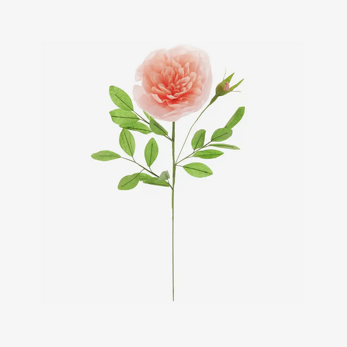 Papierblume-Rose-gefuellt-Apricot-53x15cm-Produktansicht