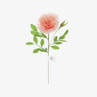 Papierblume-Rose-gefuellt-Apricot-53x15cm-mit-Ettikett