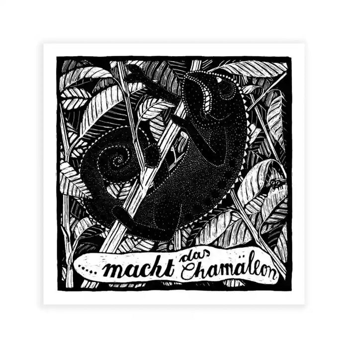 Tierbilder / Chamäleon