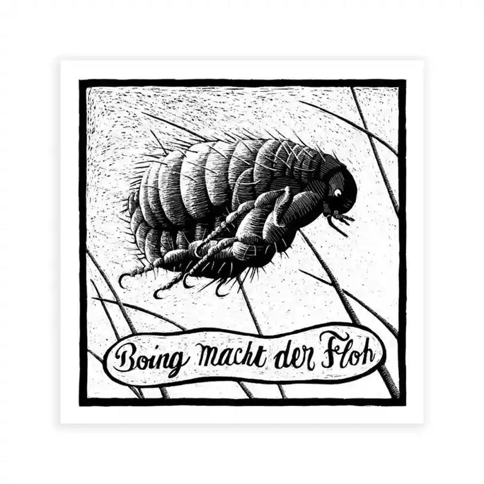 Phillip-Janta-Tierbilder-Prints-23x23cm-Floh