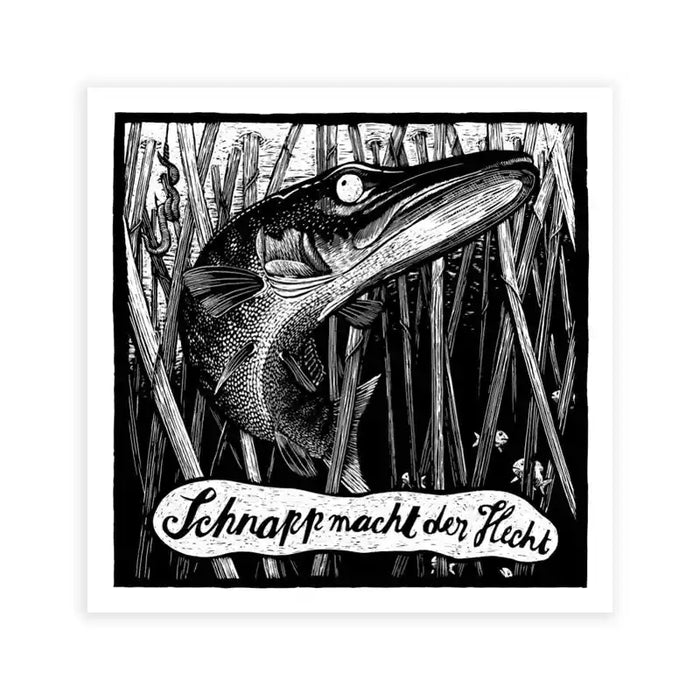 Tierbilder / Hecht