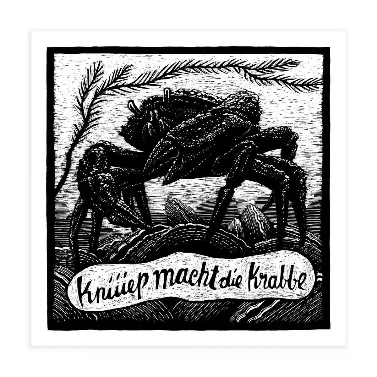 Tierbilder / Krabbe