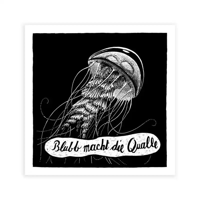 Tierbilder / Qualle