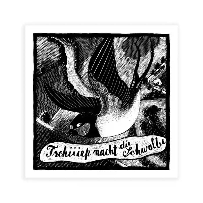 Phillip-Janta-Tierbilder-Prints-23x23cm-Schwalbe