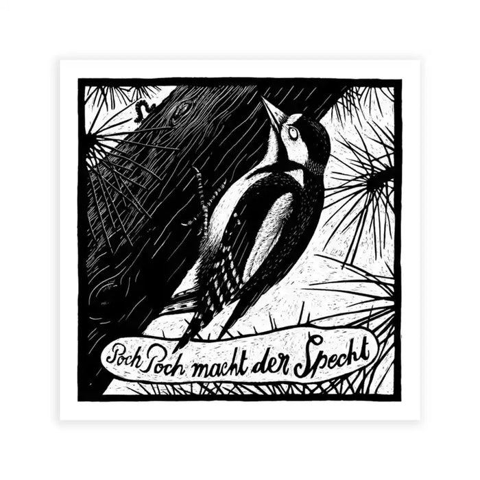 Phillip-Janta-Tierbilder-Prints-23x23cm-Specht