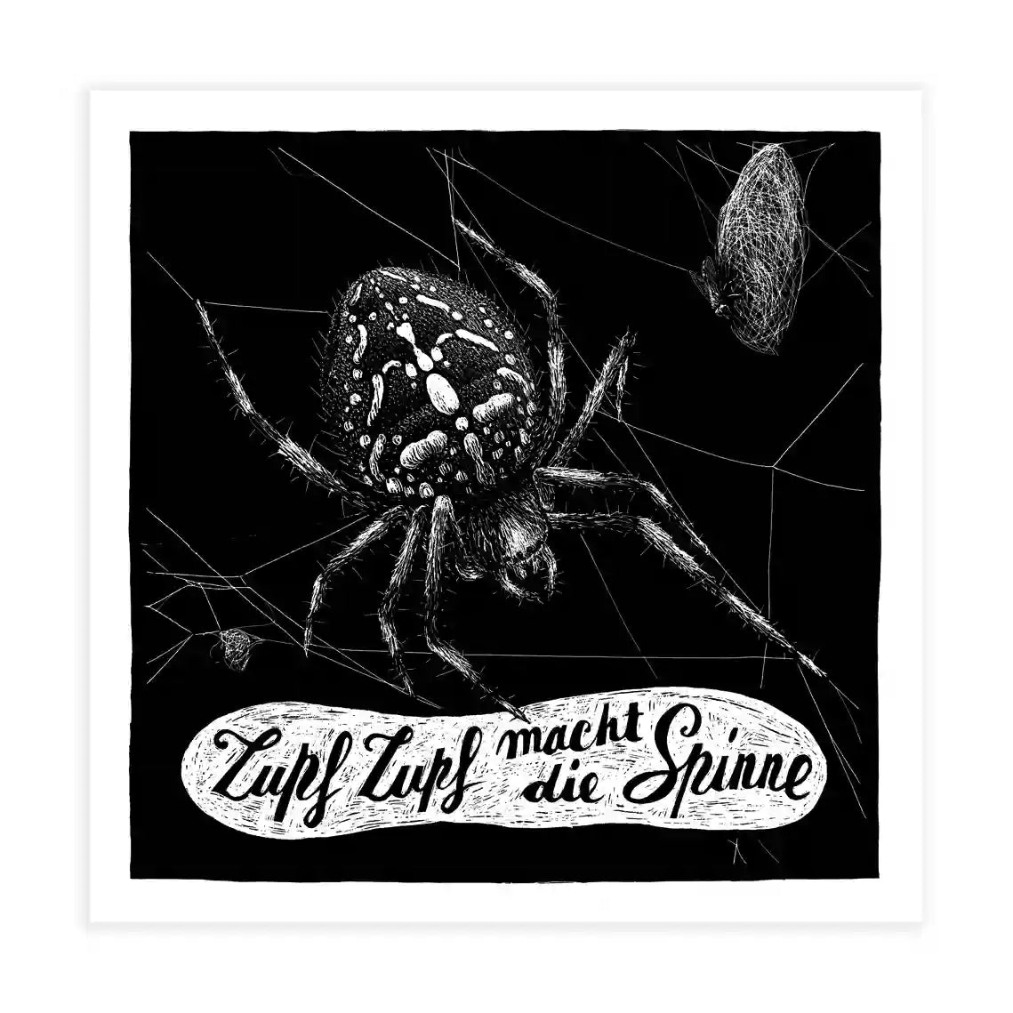 Phillip-Janta-Tierbilder-Prints-23x23cm-Spinne