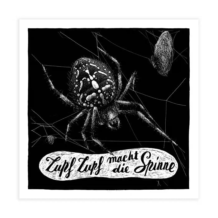 Phillip-Janta-Tierbilder-Prints-23x23cm-Spinne