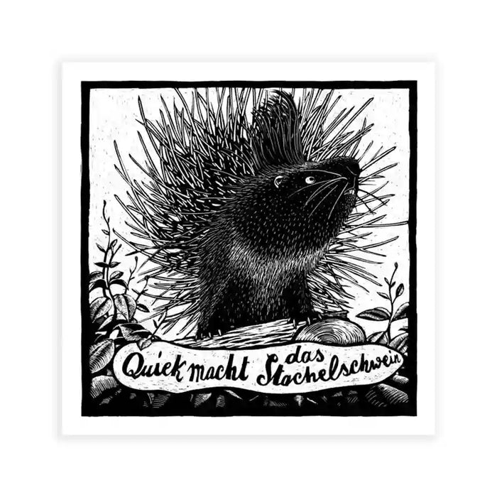 Phillip-Janta-Tierbilder-Prints-23x23cm-Stachelschwein