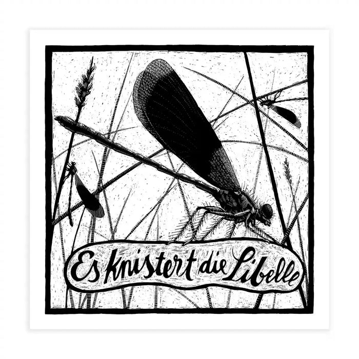 Tierbilder / Libelle