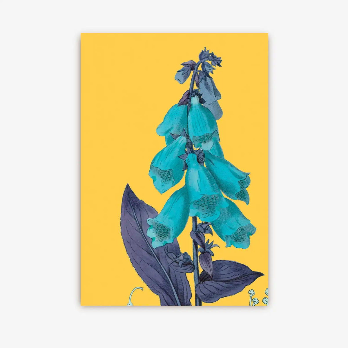 Postkarte-Lagom-Format-A6-Motiv-Kew-Gardens-Foxgloves-Botanical