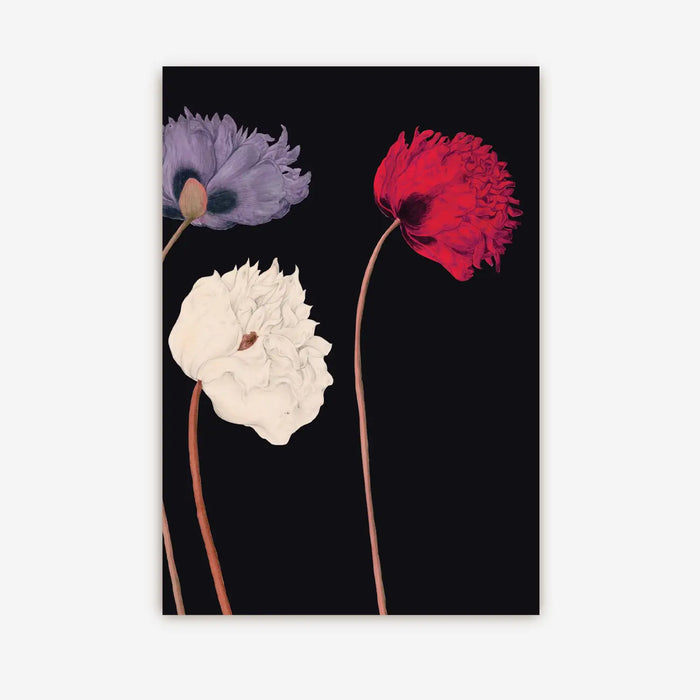 Postkarte-Poppies-Kew-Gardens-Kollektion-DIN-A6