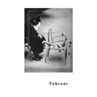 Streuner-Teil5-Postkartenkalender-_Format-A6-13Postkarte-Cover-vorn-Februar