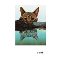 Streuner-Teil5-Postkartenkalender-_Format-A6-13Postkarte-Cover-vorn-Juni