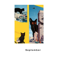 Streuner-Teil5-Postkartenkalender-_Format-A6-13Postkarte-Cover-vorn-September