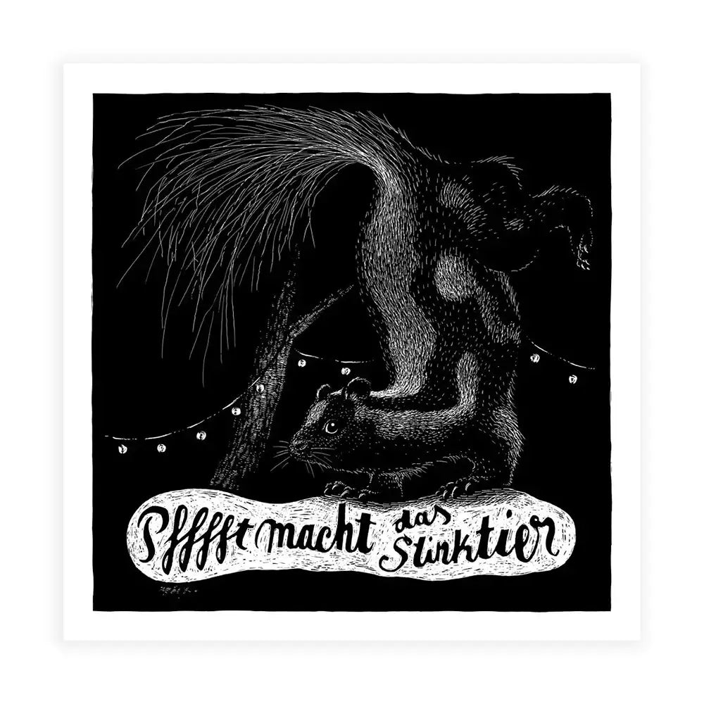 Tierbilder / Stinktier