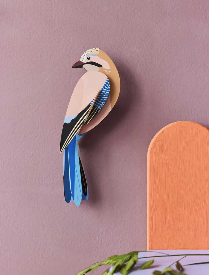 Jay / Garten Vögel