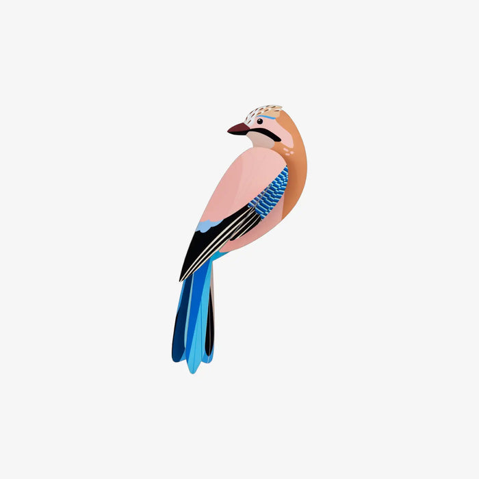 Jay / Garten Vögel