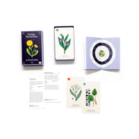 Wilde-Alchemie-KArtenspiel-Laurence-King-verlag-Produktansicht-Box-cover-offen-+inhalt+Anleitung