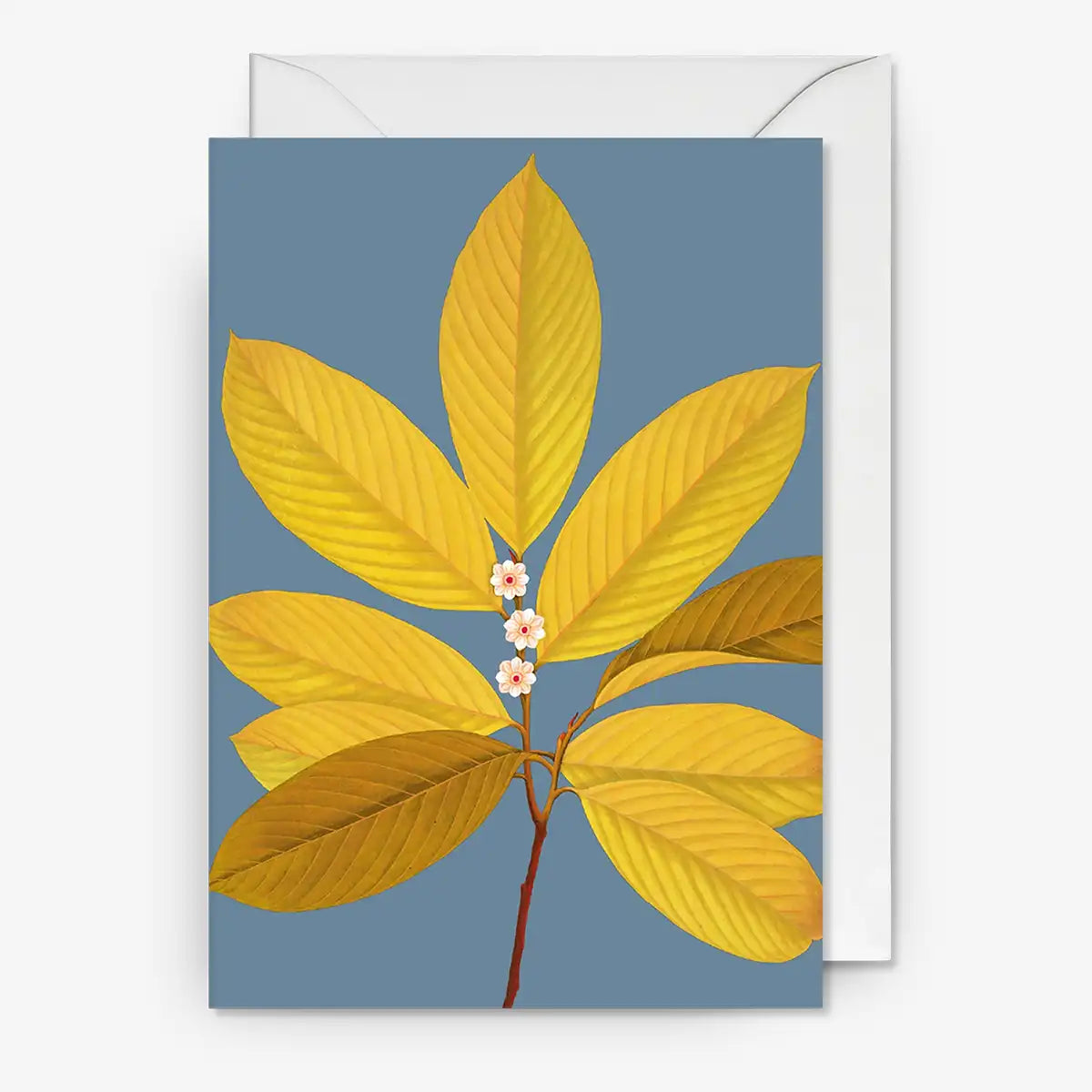 grusskarte-grusskarte-mit-umschlag-kew-gardens-silver-burnt-bloom
