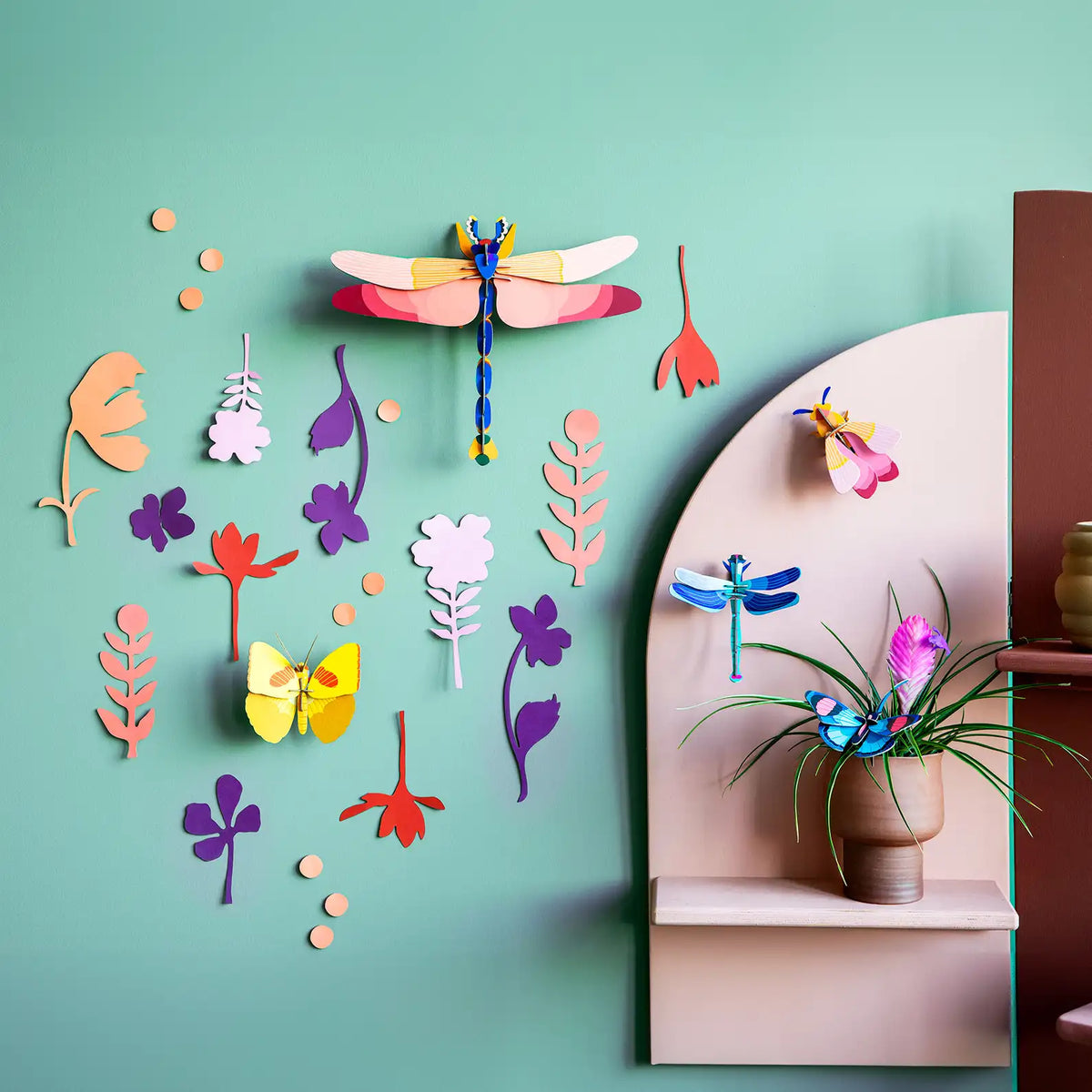 Wall of Curiosities / Insect Connoisseur / Studio Roof