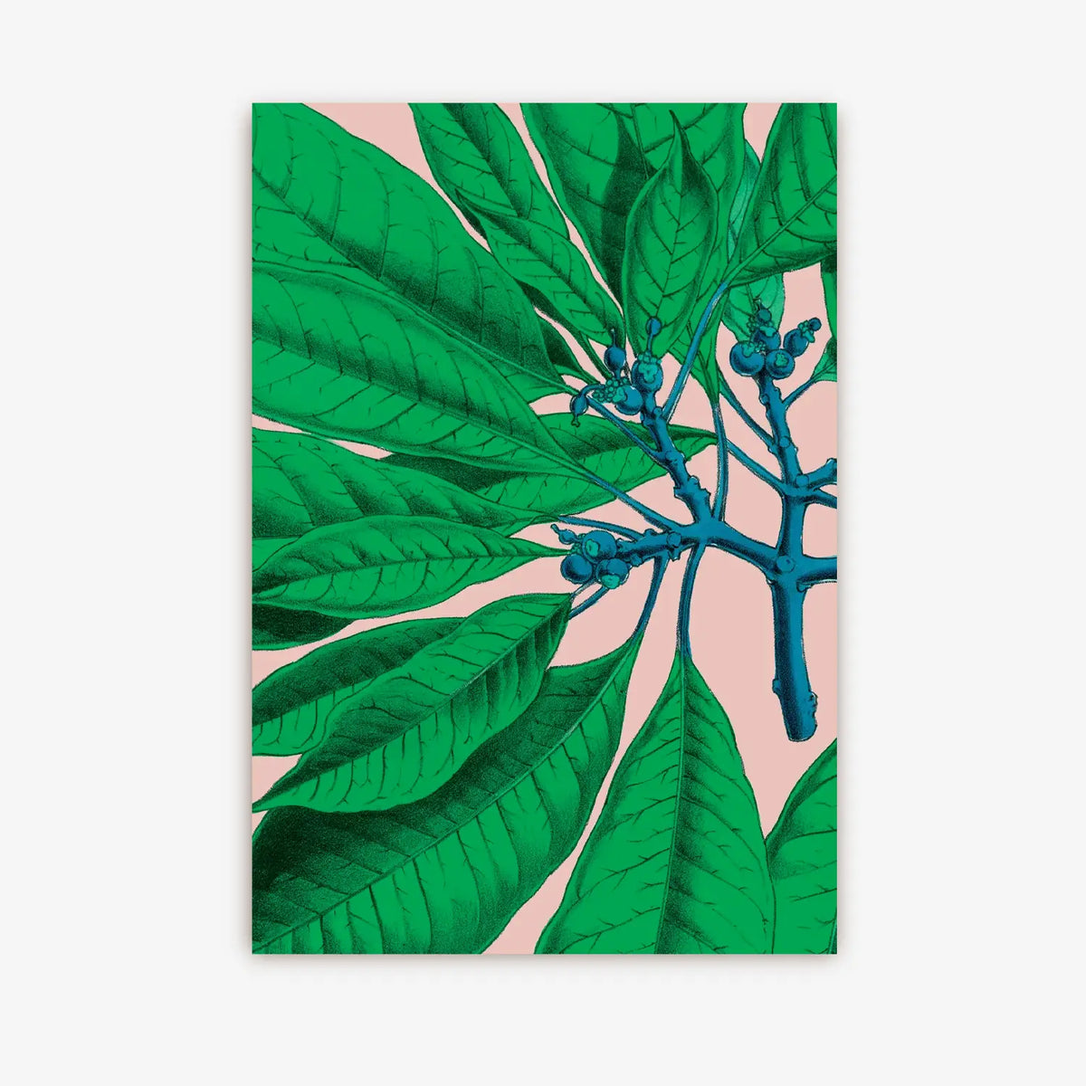 postkarte-kew-gardens-poinsettia