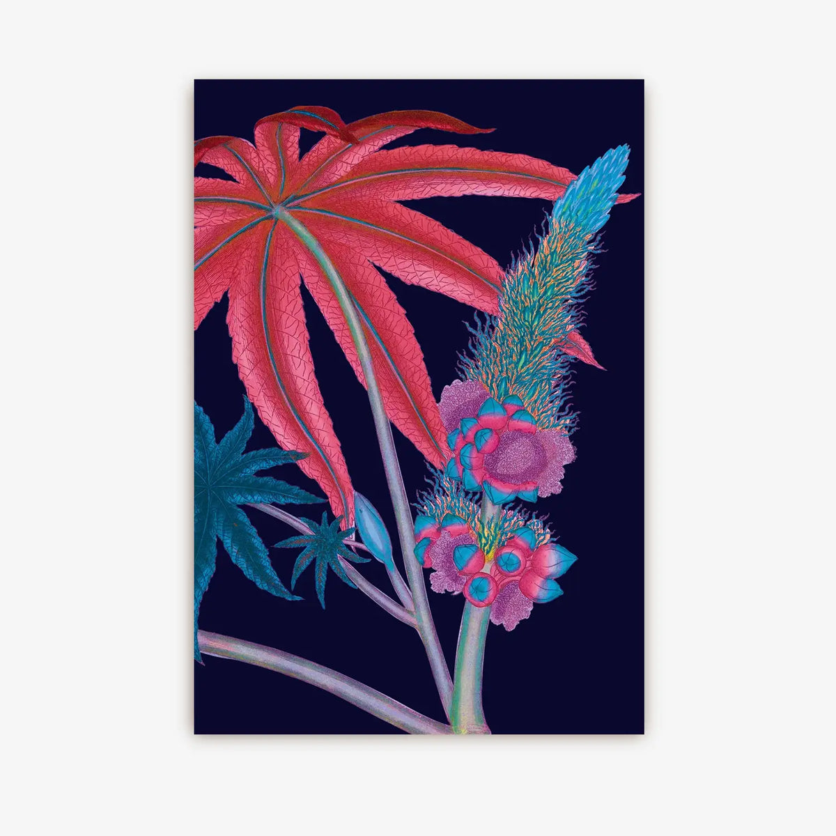 Postkarte | Kew Gardens | Ricinus