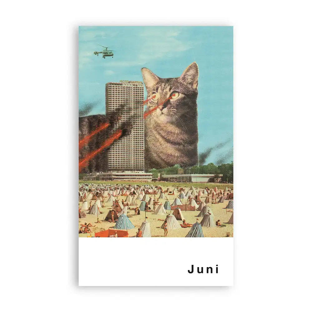 streuner-postkartenkalender_13_Motive-Format-A6-superfreunde_cover-Juni