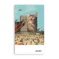 streuner-postkartenkalender_13_Motive-Format-A6-superfreunde_cover-Juni