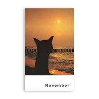 streuner-postkartenkalender_13_Motive-Format-A6-superfreunde_cover-November