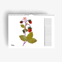 wandkalender-immerwahrender-geburtstagskalender-fruits-birthday-Cover-Mai