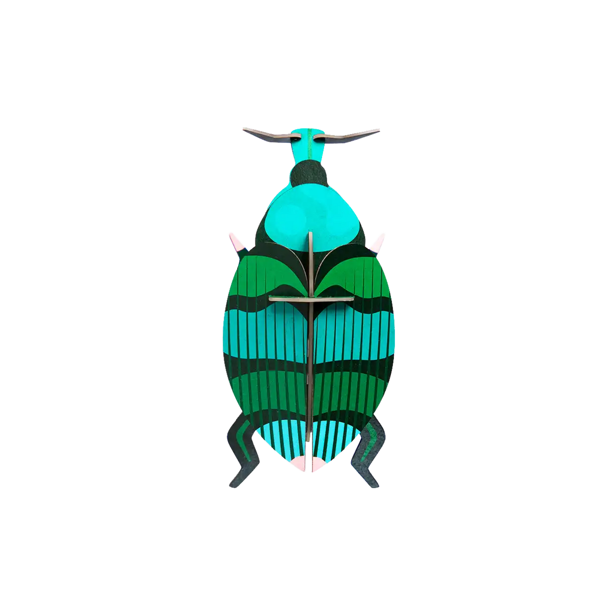 Weevil Beetle / 3D Objekt