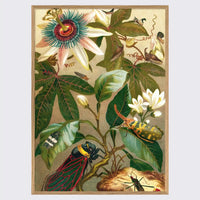 Poster / Cicadas / 30x40 cm / gerahmt oder ungerahmt