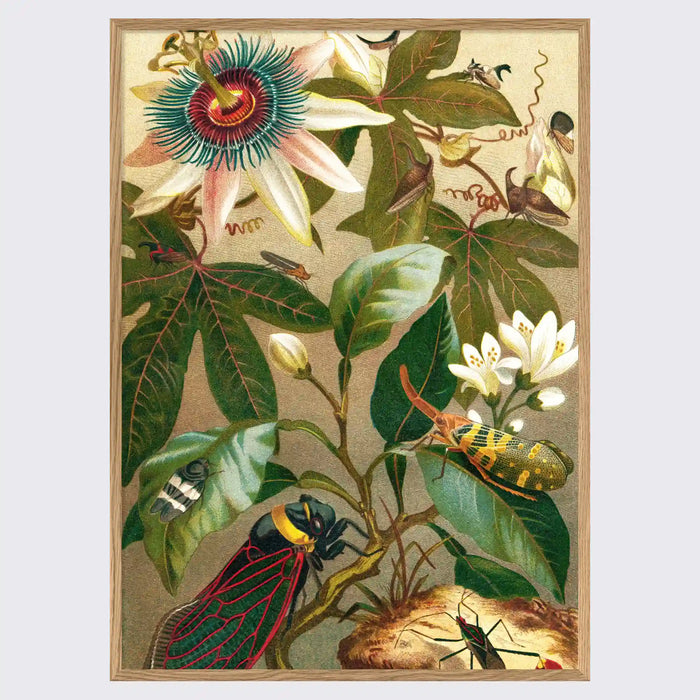 Poster / Cicadas / 30x40 cm / gerahmt oder ungerahmt
