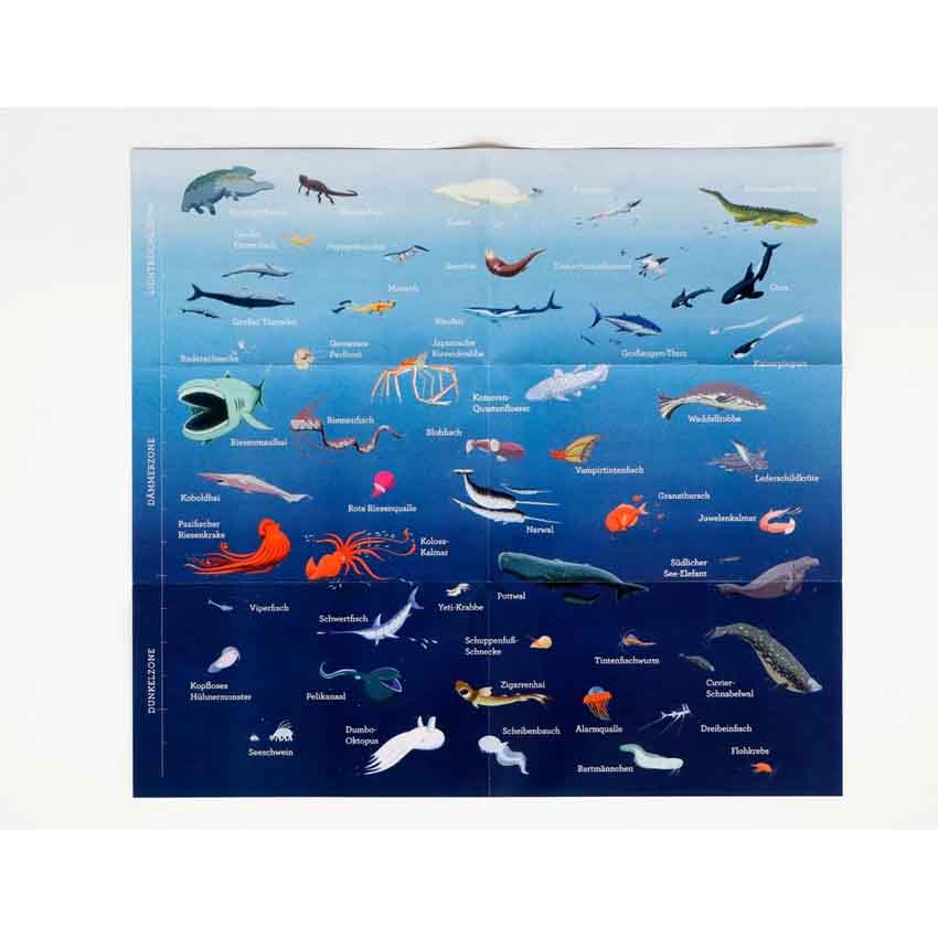 Schaetzspiel-Laurence-king-verlag-Abenteuer-Tiefsee-Ein-Kartenspiel-fuer-Meeresforscherinnen-Ab-_6-_Jahren-Poster