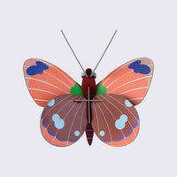delias butterfly / 3D Objekt / Wanddekoration / zum Basteln und Dekorieren