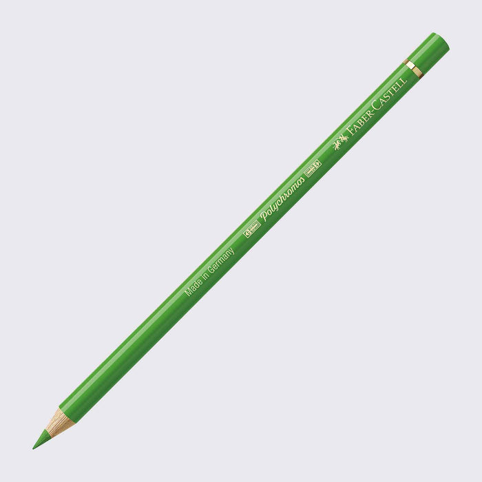 Polychromos Farbstift / A112 laubgrün  / Faber Castell