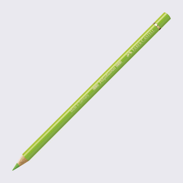 Polychromos Farbstift / A171 lichtgrün  / Faber Castell