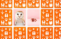 Tierbaby-Memo_gross-und-klein-Memokarten-2