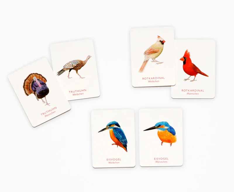 Laurence_King-memorie-vogelpaare-Spielkarten-1