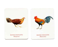 Laurence_King-memorie-vogelpaare-Spielkarten-2