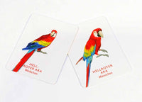 Laurence_King-memorie-vogelpaare-Spielkarten-3