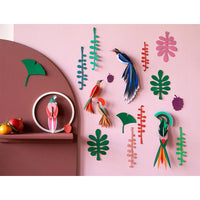 Wall of Curiosities / Bird Observer / Studio Roof