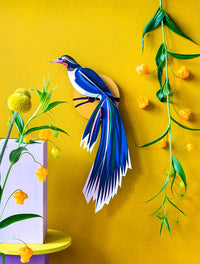 Paradise Birds / Flores  / 3D Objekt