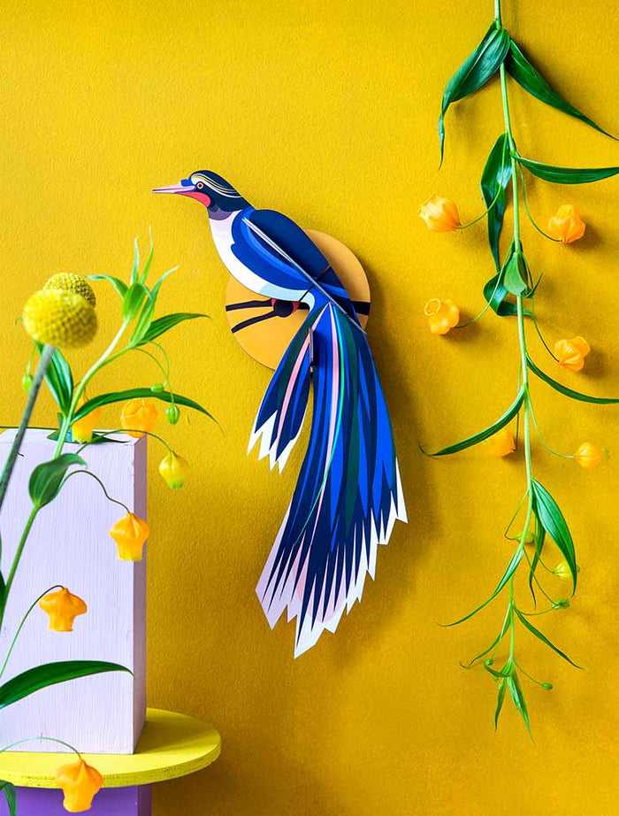 Paradise Birds / Flores  / 3D Objekt