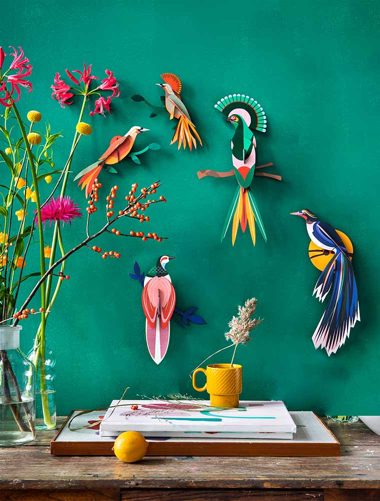 Paradise Birds / Flores  / 3D Objekt