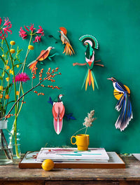 Paradise Birds / Flores  / 3D Objekt