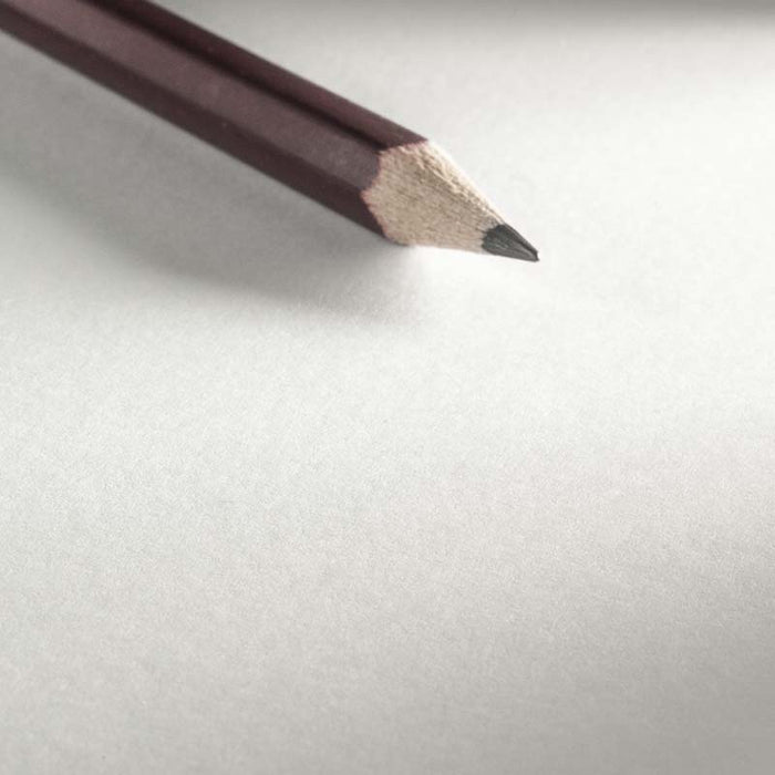 Velvet-PApieransicht-vergrössert-mit-Bleistift